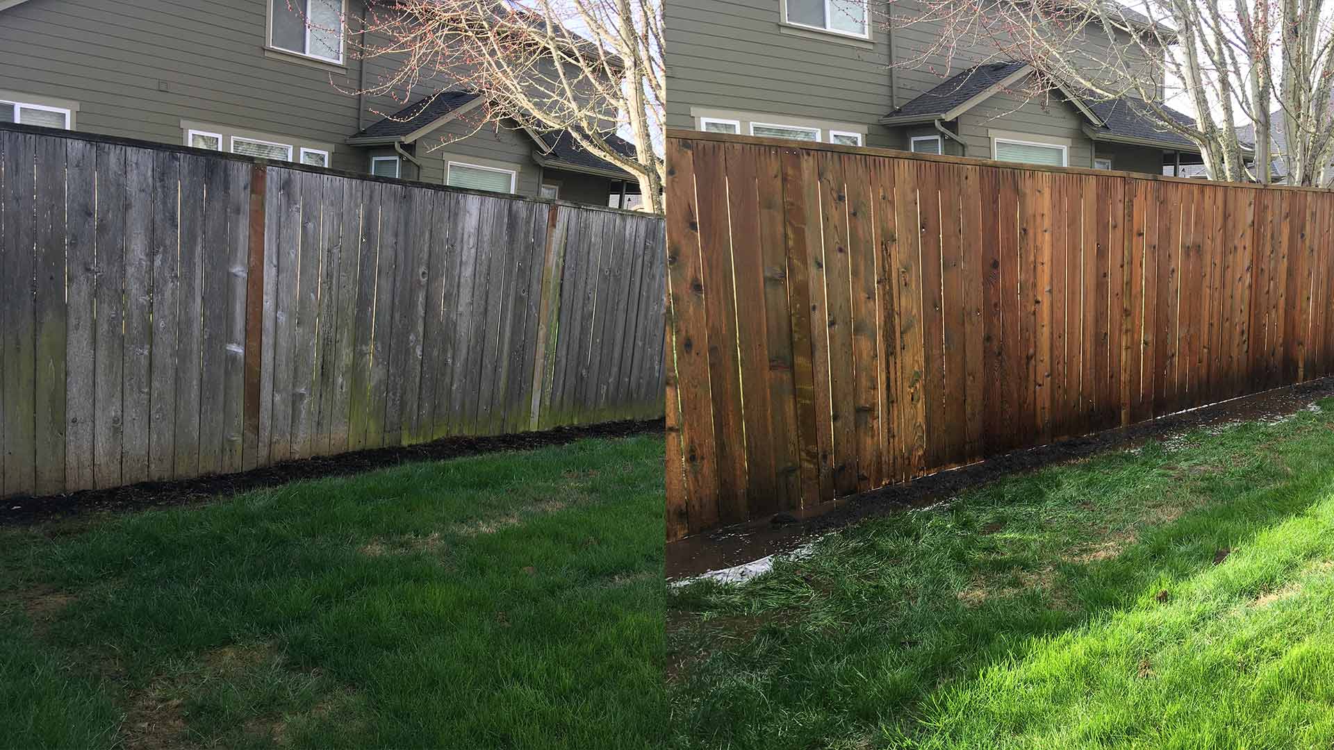 before and after fence cleaning albany or