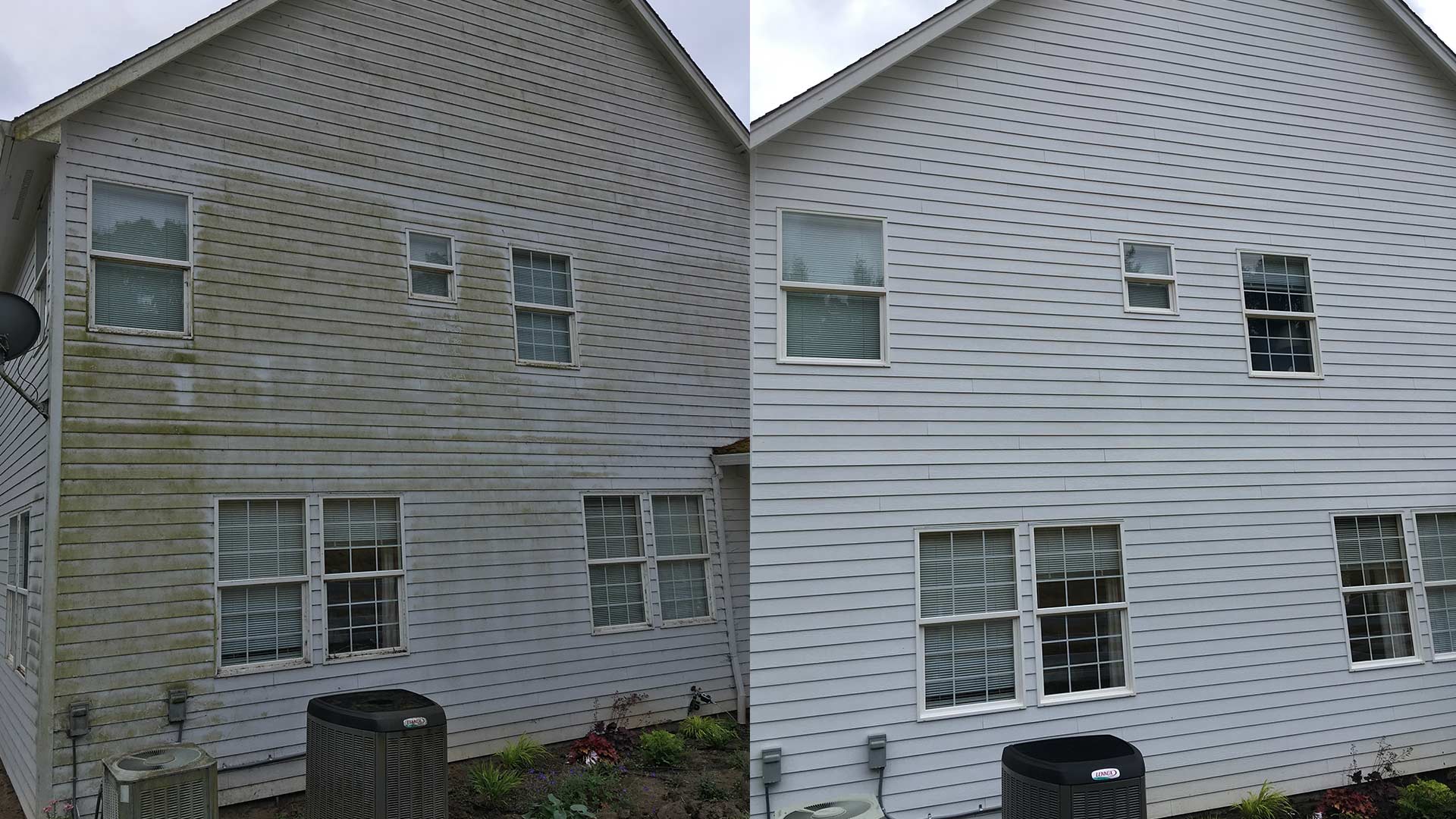 before and after house washing albany or