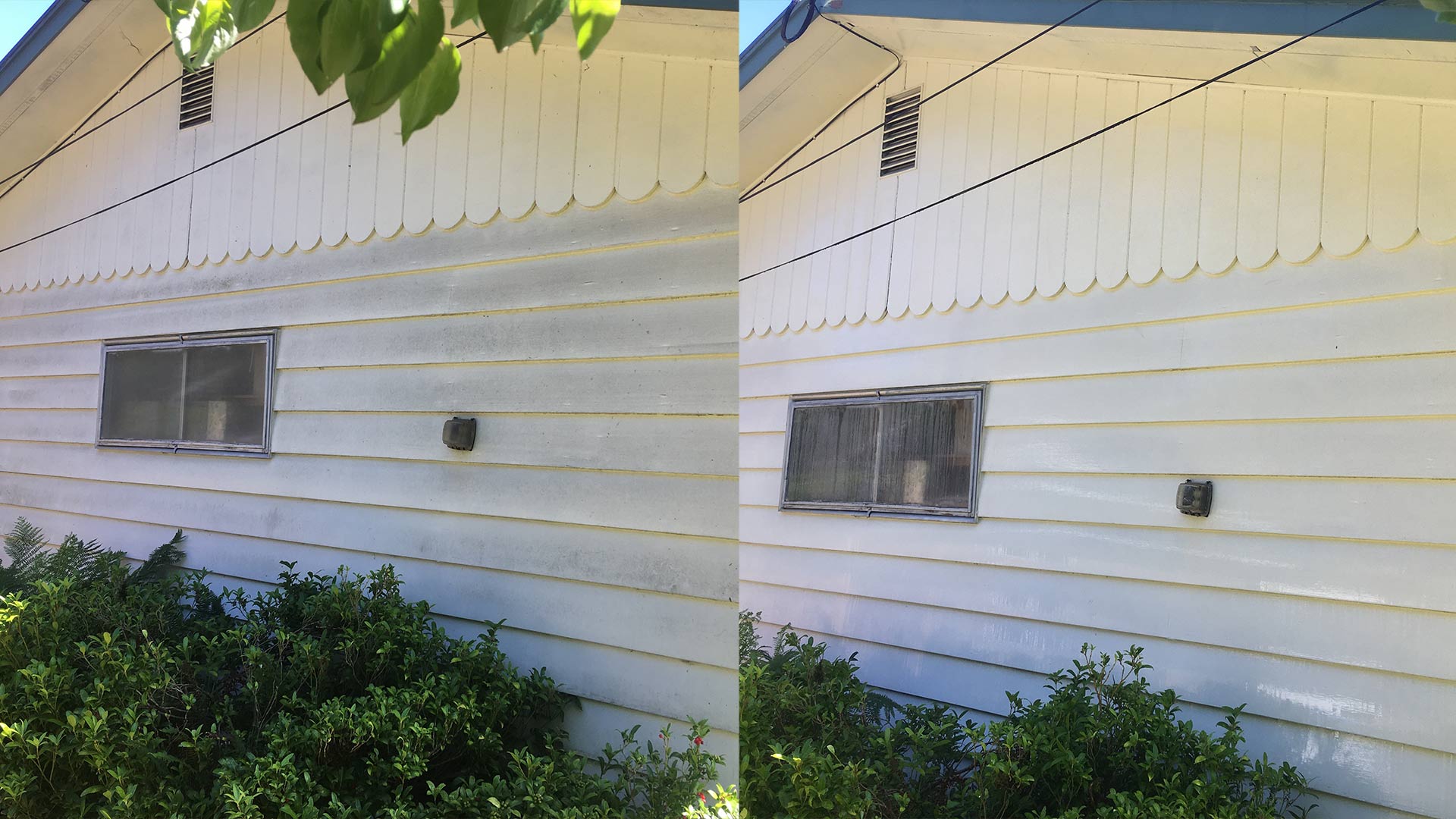 before and after of home siding albany or